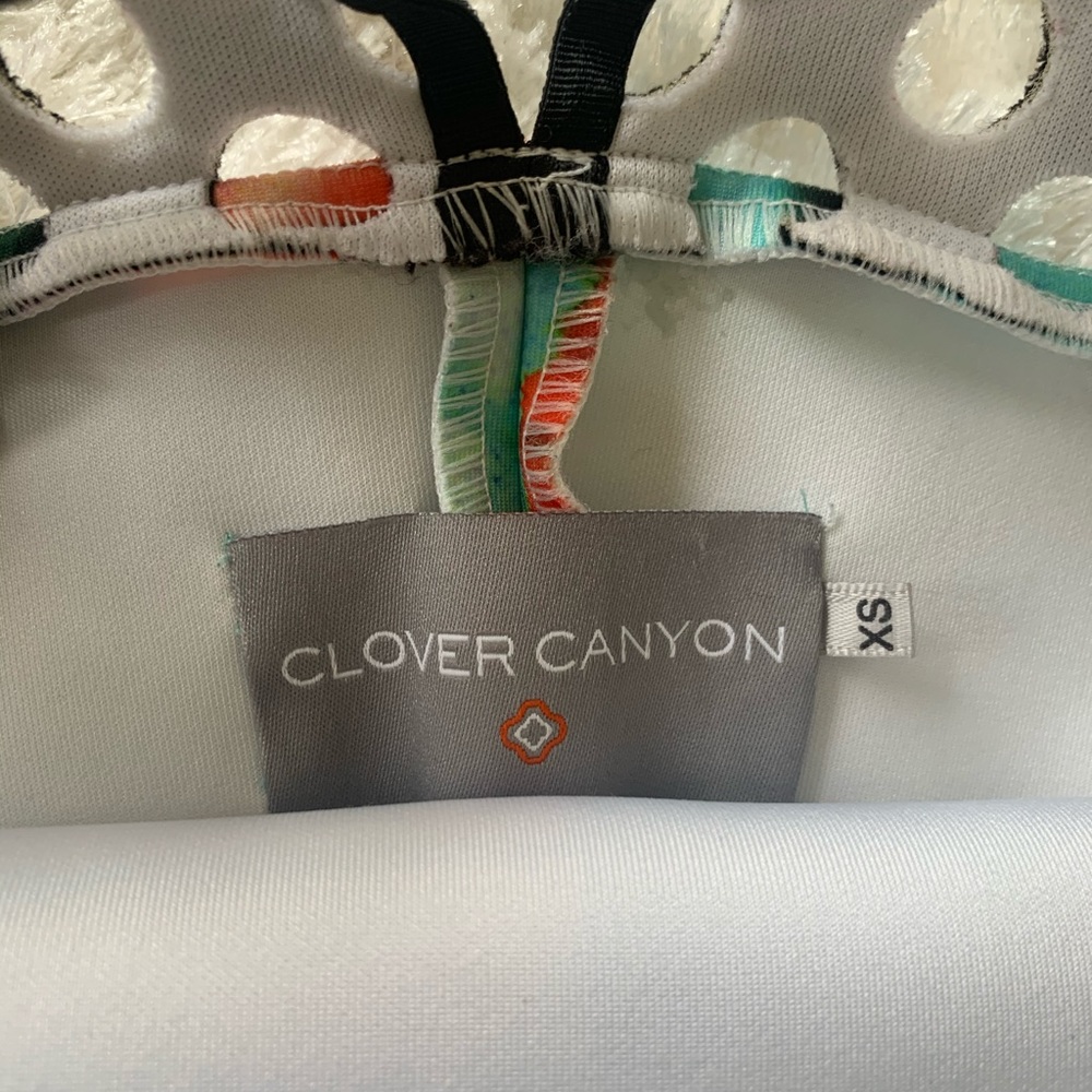 Clover Canyon Dress - Picture 6 of 6